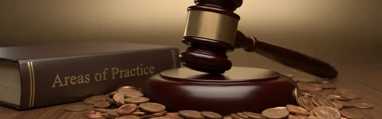 Areas of Practice image